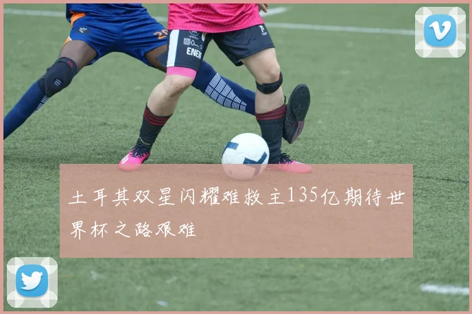 土耳其双星闪耀难救主135亿期待世界杯之路艰难