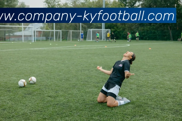 开云足球平台生态图